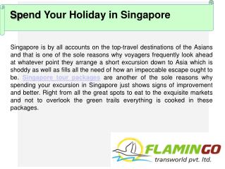 Spend Your Holiday Vacation with Singapore Tour Packages