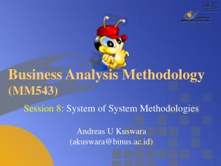 Business Analysis Methodology (MM543)