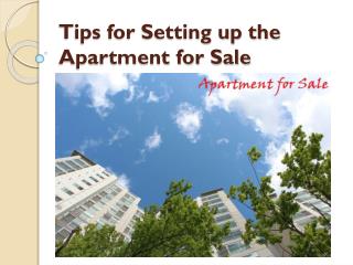 Tips for Setting up the Apartment for Sale