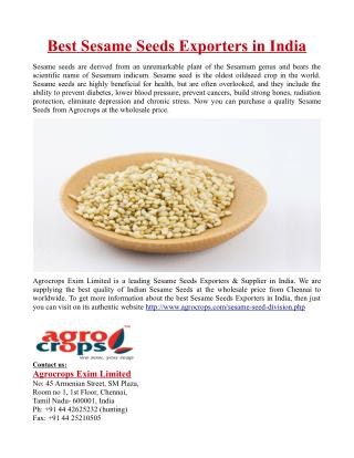 Best Sesame Seeds Exporters in India