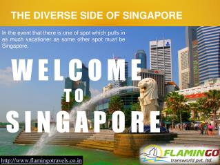 THE DIVERSE SIDE OF SINGAPORE