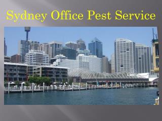 Sydney Office Pest Service