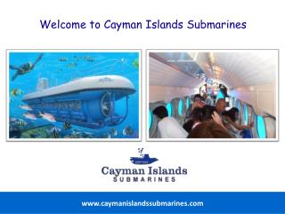 How to Experience the Best of the Underwater World around Cayman Islands
