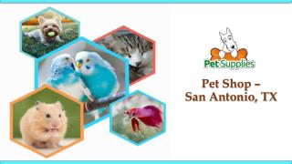 Pet Shop – San Antonio, TX