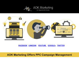 AOK Marketing Offers PPC Campaign Management
