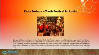 Esala Perhara - Tooth Festival Sri Lanka