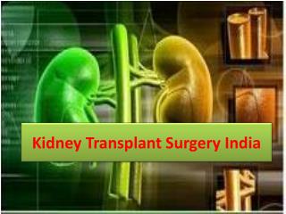 Kidney transplant surgery india