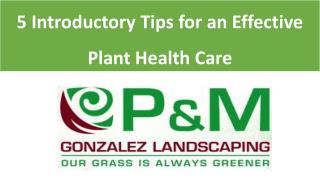 5 Introductory Tips for an Effective Plant Health Care