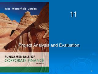 Project Analysis and Evaluation