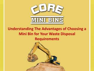 Understanding The Advantages Of Choosing A Mini Bin For Your Waste Disposal Requirements