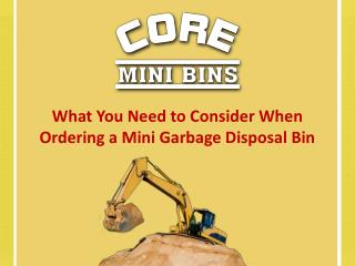 What You Need To Consider When Ordering A Mini Garbage Disposal Bin