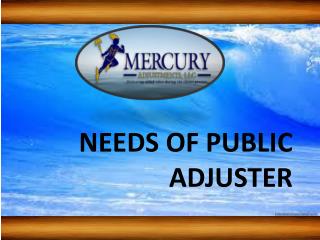 Needs of Insurance Adjusters