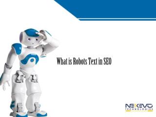What is Robots Text in SEO