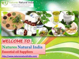 Get Pure and Natural Essential Oils @ Natures Natural India