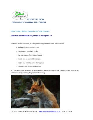 How To Get Rid Of Foxes From Your Garden