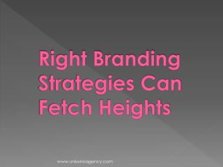 Right Branding Strategies Can Fetch Heights