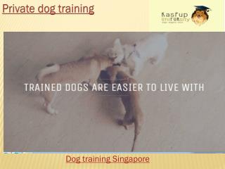 Singapore Dog Training