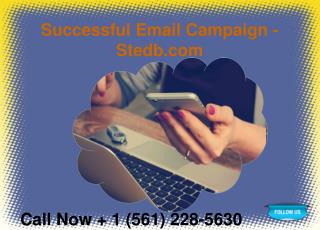 Successful Email Campaign - Stedb.com
