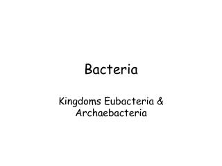 Bacteria