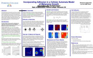 Incorporating Adhesion in a Cellular Automata Model of Melanoma Growth Chris DuBois (’06) , Ami Radunskaya*