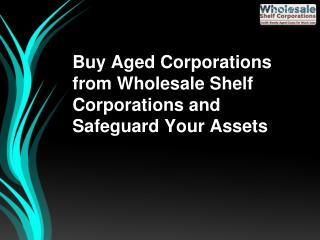 Buy Aged Corporations from Wholesale Shelf Corporations and Safeguard Your Assets