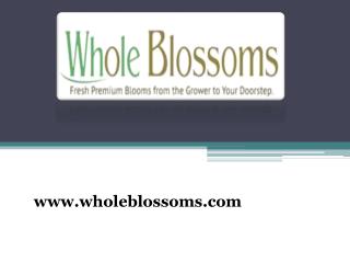 Wholesale Flowers - www.wholeblossoms.com