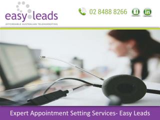 Expert Appointment Setting Services- Easy Leads