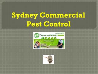 Best Sydney Commercial Pest Control
