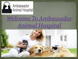 Ambassador Animal Hospital- Finest veterinarian amenities in windsor