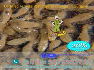 Certified Termite Pest Control services in Gurgaon Call 9810353723