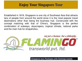 Enjoy Your Best Singapore Tour of Life with Flamingotravels