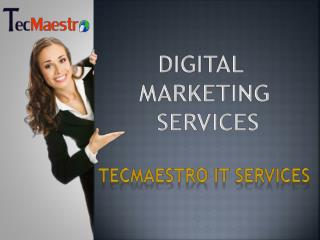 Digital Marketing Plan By Geeksquares - Social Media Optimisation