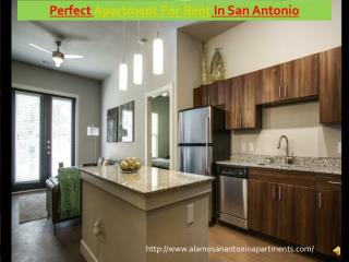 Special Apartment For Rent In San Antonio