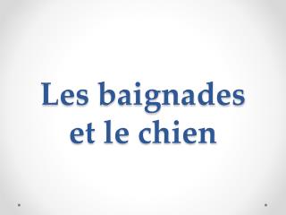 Les baignades et le chien