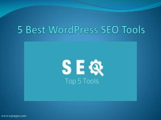 Discover some Best WordPress Tools To Optimize Your Website