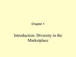 Introduction: Diversity in the Marketplace