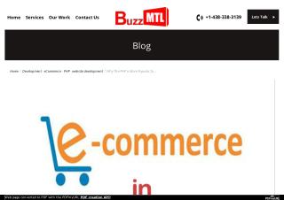 Why The PHP is More Popular for Ecommerce Website Development?