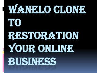 Wanelo clone to restoration your online business