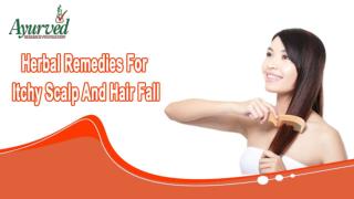 Herbal Remedies For Itchy Scalp And Hair Fall