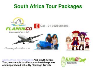 An Exotic South Africa Tour Packages | Flamingo Travels