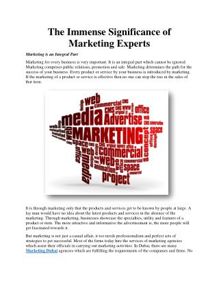 The Immense Significance of Marketing Experts