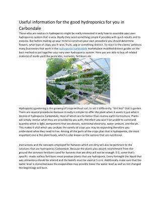 Grow Lights For Indoor Gardening