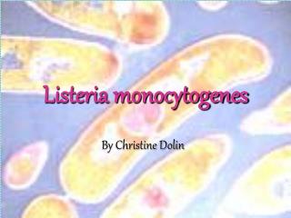 Listeria monocytogenes