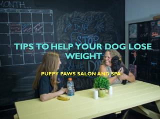Tips To Help Your Dog Lose Weight