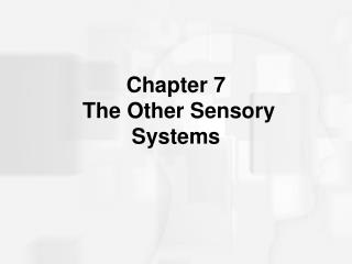 Chapter 7 The Other Sensory Systems