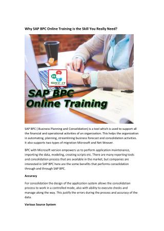 Why SAP BPC Online Training is the Skill You Really Need?