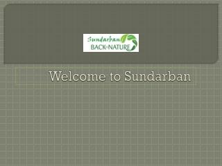 Sundarban National Park - An Adventure Tour