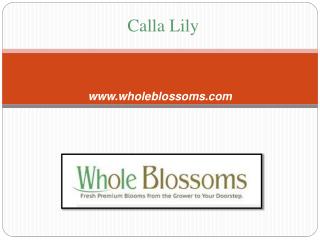 Bulk calla lilies - http://www.wholeblossoms.com/