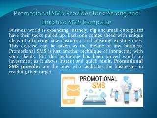 Promotional SMS Provider for a Strong and Enriched SMS