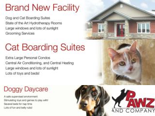 Best Pet Sitting | Dog Walking, Kennels, Grooming Lindsay Toronto | Pawz and Company